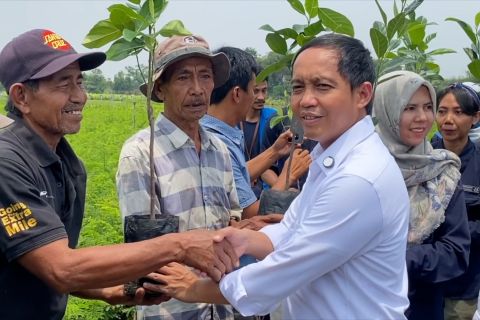 Sambangi Rumpin, Menhut Raja Juli minta bibit pohon fokus dukung HHBK