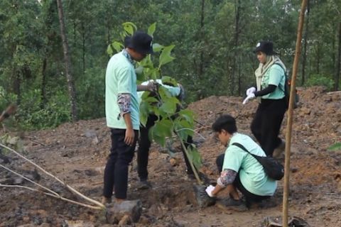 Penghijauan kawasan di IKN libatkan peran mahasiswa