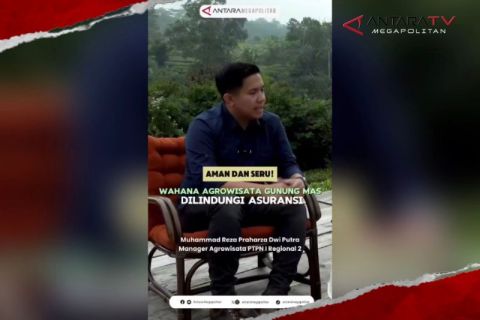 Aman dan seru! Wahana Agrowisata Gunung Mas dilindungi asuransi