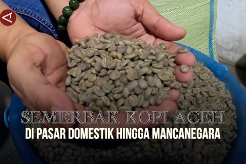 Semerbak kopi Aceh di pasar domestik hingga mancanegara