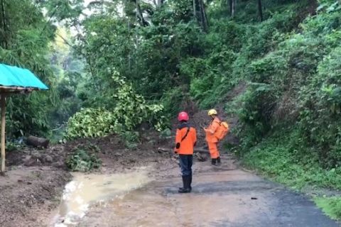 Hujan dua hari, 10 longsor terjadi di Ponorogo