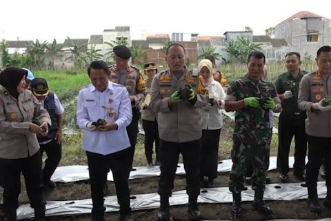 Polresta Malang Kota lakukan penanaman bibit bersama petani dan TNI