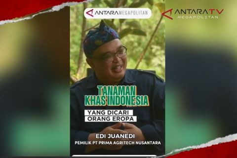 Tanaman khas Indonesia yang dicari orang Eropa