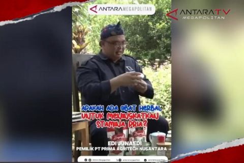 Apakah ada obat herbal untuk meningkatkan stamina pria?