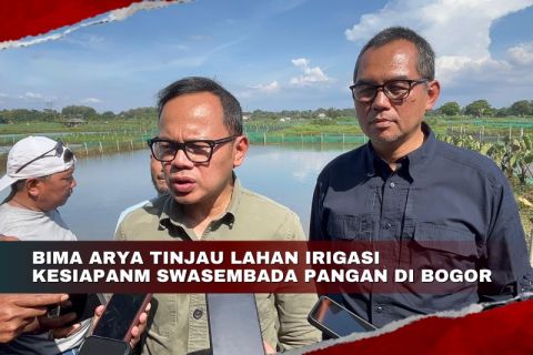 Bima Arya tinjau lahan irigasi kesiapan swasembada pangan Bogor