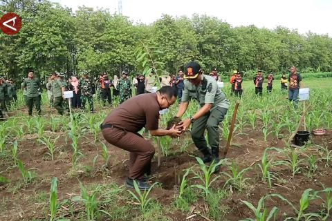 KPH Madiun reboisasi ratusan hektare petak hutan