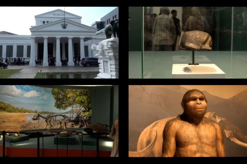 Menjelajahi kehidupan prasejarah di Museum Nasional Indonesia