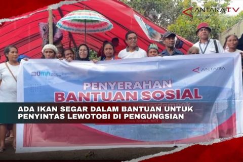 Ada ikan segar dalam bantuan untuk penyintas Lewotobi di pengungsian