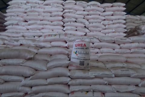 Optimal serap pupuk, Sultra peringkat 4 nasional produksi beras