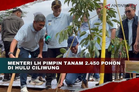 Menteri LH pimpin tanam 2.450 pohon di hulu Ciliwung