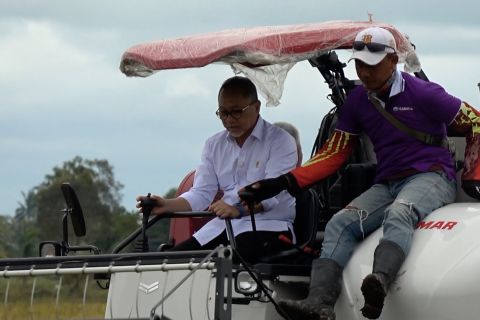 Menko Pangan pastikan HPP gabah Rp6.500