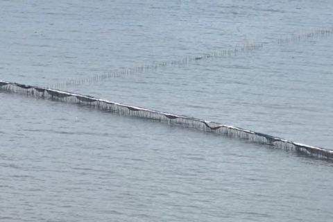 Pemprov Banten tak ingin gegabah tangani kasus pagar laut di Tangerang