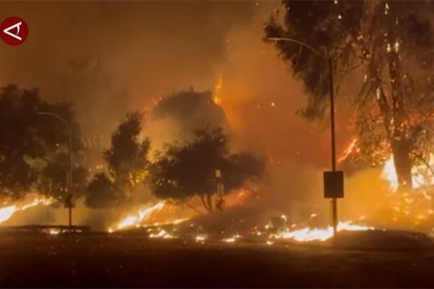 Lima orang tewas dalam kebakaran hutan yang terus meluas di California