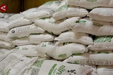 Digitalisasi distribusi pupuk di Sulsel wujudkan swasembada pangan