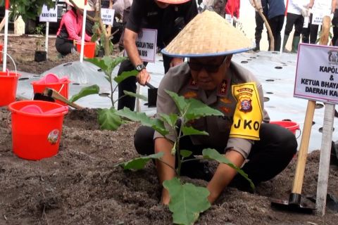 Kapolda Kalteng luncurkan program Pekarangan Pangan Lestari di Mapolda