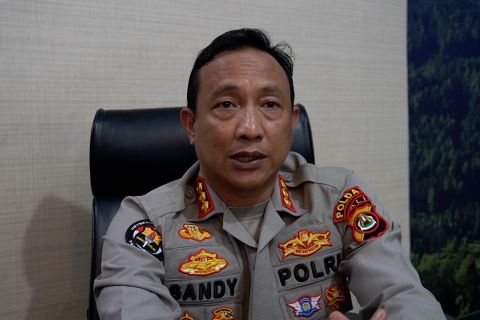 Polda Bali buru delapan WNA terlibat kasus perampokan warga Ukraina