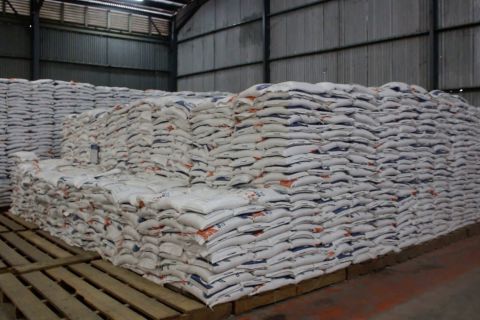 Sumbar optimistis 24 ribu ton beras terserap hingga April 2025