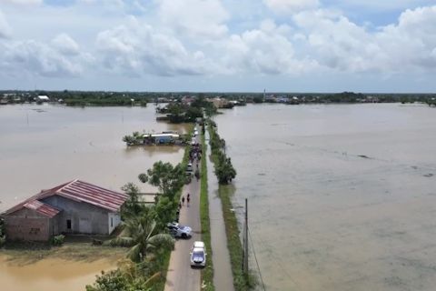 Pemerintah Sulsel beri benih untuk 1.204 Ha lahan sawah terkena banjir