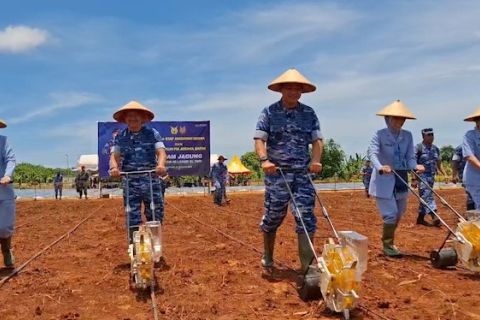 Dukung ketahanan pangan, KASAU tanam jagung di Lanud El Tari Kupang