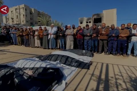 PBB laporkan kehancuran kehidupan yang nyaris total di Gaza