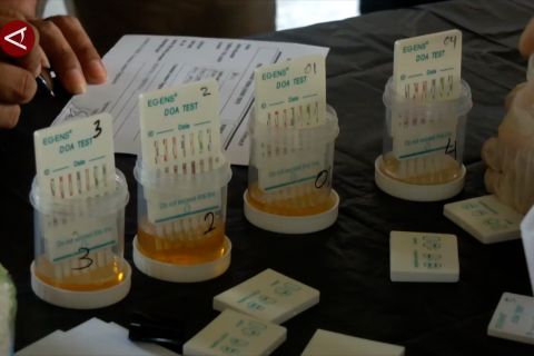 Pastikan bebas narkoba, BNNP DIY periksa urine awak bus