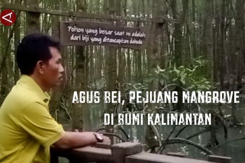 Agus Bei, pejuang mangrove di bumi Kalimantan