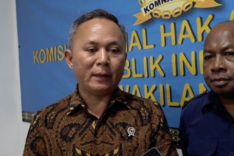 Wamen HAM libatkan semua pihak untuk hentikan kekerasan di Papua