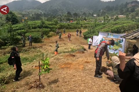 Tangani degradasi lahan, Kemenhut tanam 50 ribu pohon di Bogor