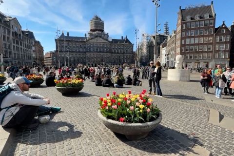 Festival Tulip 2025 percantik Amsterdam saat rayakan hari jadi ke-750