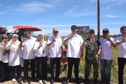 Panen raya serentak, Bulog Makassar serap 25.900 ton gabah kering