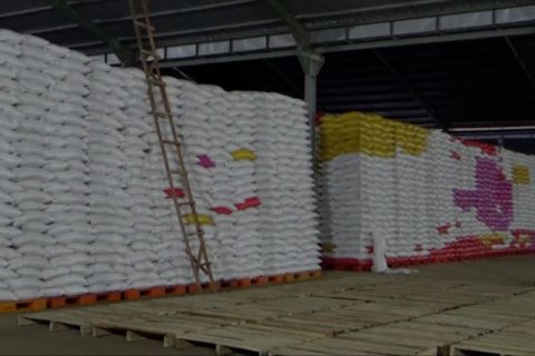 Bulog Sultra sewa 8 gudang filial tampung serapan gabah dan beras