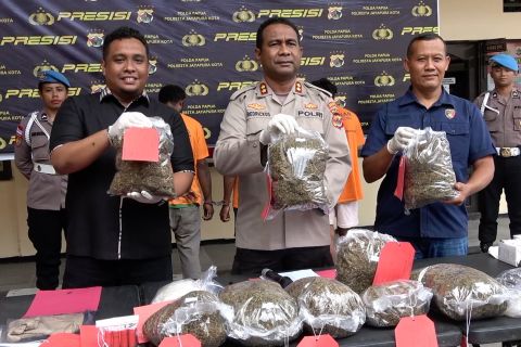 Polisi amankan 7,5 kg ganja dari jaringan narkoba asal Papua Nugini