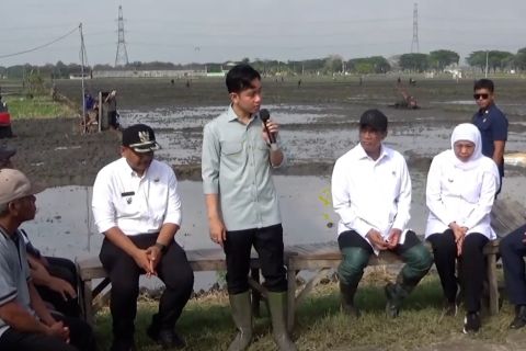Wapres dan Mentan tanam padi di Ngawi