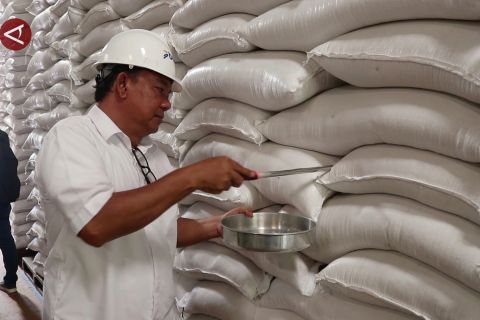 Bulog Aceh serap 86 ribu ton beras lokal, stok cukup hingga 2026