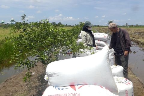 Bulog Kalsel kerahkan Tim Jemput Gabah kejar serapan 302 ton