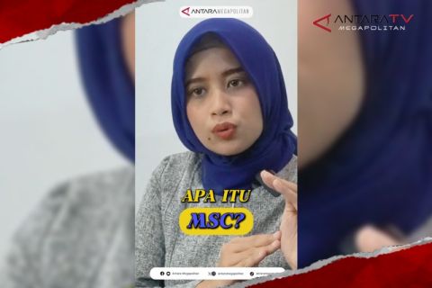Apa itu MSC?