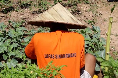 Kemandirian pangan di tangan lapas Singkawang