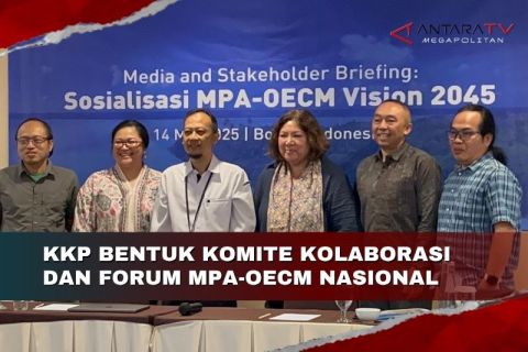 KKP bentuk Komite Kolaborasi dan Forum MPA-OECM Nasional