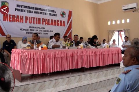 Pembentukan Koperasi Merah Putih di Kelurahan Palangka dapat apresiasi