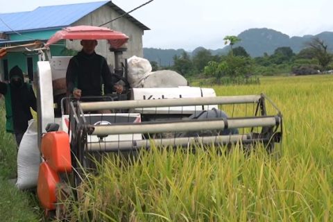 Bulog Sulselbar catat rekor tertinggi serapan gabah dalam satu dekade