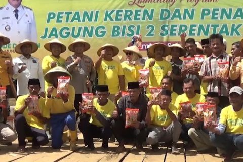 Petani Keren di Muna Barat libatkan kaum muda dukung ketahanan pangan