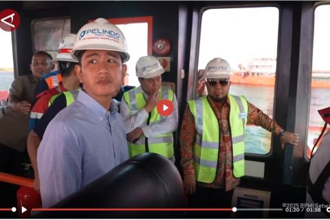BBM langka, Wapres tinjau pendangkalan alur pelabuhan Bengkulu - VIDEO