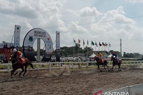 Ratusan kuda se-Indonesia berlaga dalam kejuaraan kuda balap di Bantul
