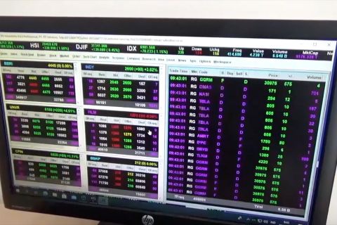 BEI sebut investor saham di Sultra didominasi kaum muda