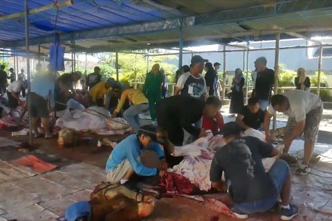 DPKP DIY: Masak daging kurban dengan benar cegah risiko cacing hati