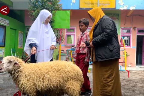 Siswa kelas 3 SD di Lumajang kurban domba hasil ternaknya
