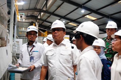 Surplus 4 juta ton, KSP soroti kualitas hingga distribusi beras