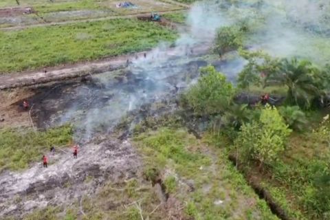 47 kasus karhutla hanguskan 50 hektare lahan di Kota Palangka Raya