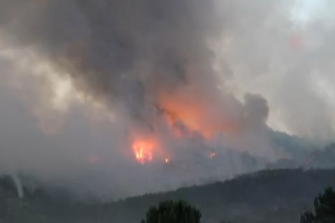 10 petugas damkar tewas dan 14 terluka dalam kebakaran hutan di Turki