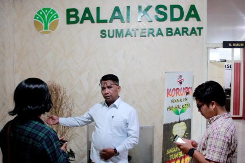BKSDA Sumbar siapkan sistem kuota pendaki gunung